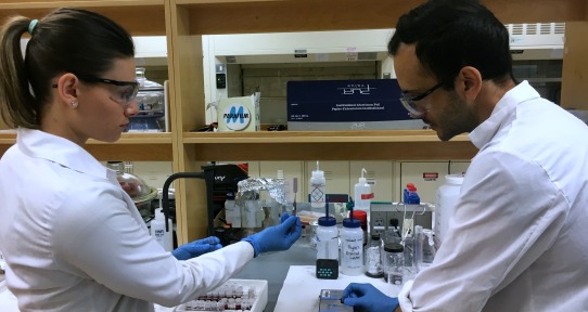 Alexandre Brolo Lab